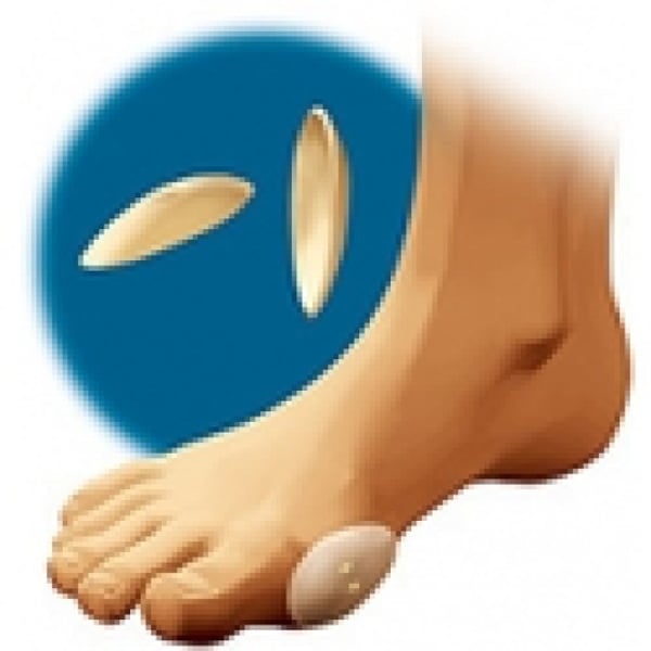 6214197.webp