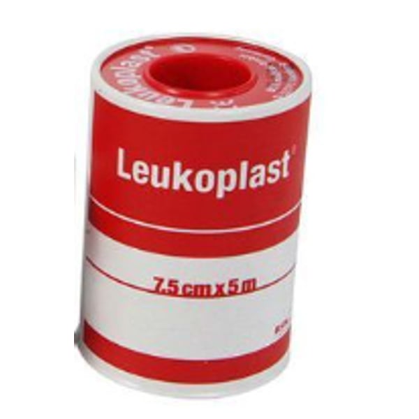 6501650.webp