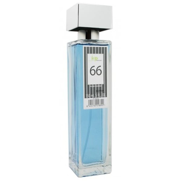 66.webp