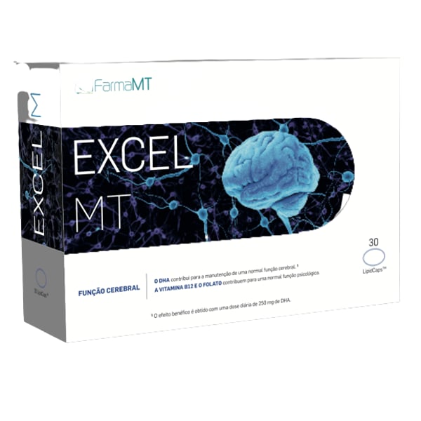 excel-mt-removebg-preview.webp